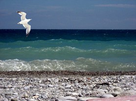 paralia-glaros.jpg